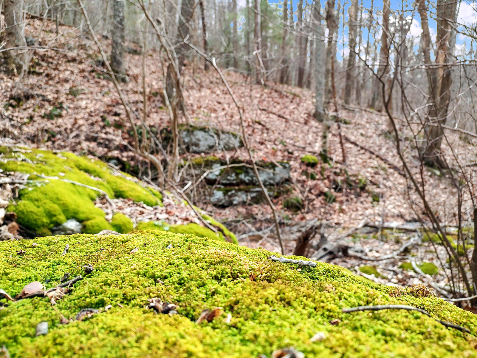0 Glendale Road Bent Mountain, VA 24059 - Photo 5 of 15 IMG_20230118_125642597