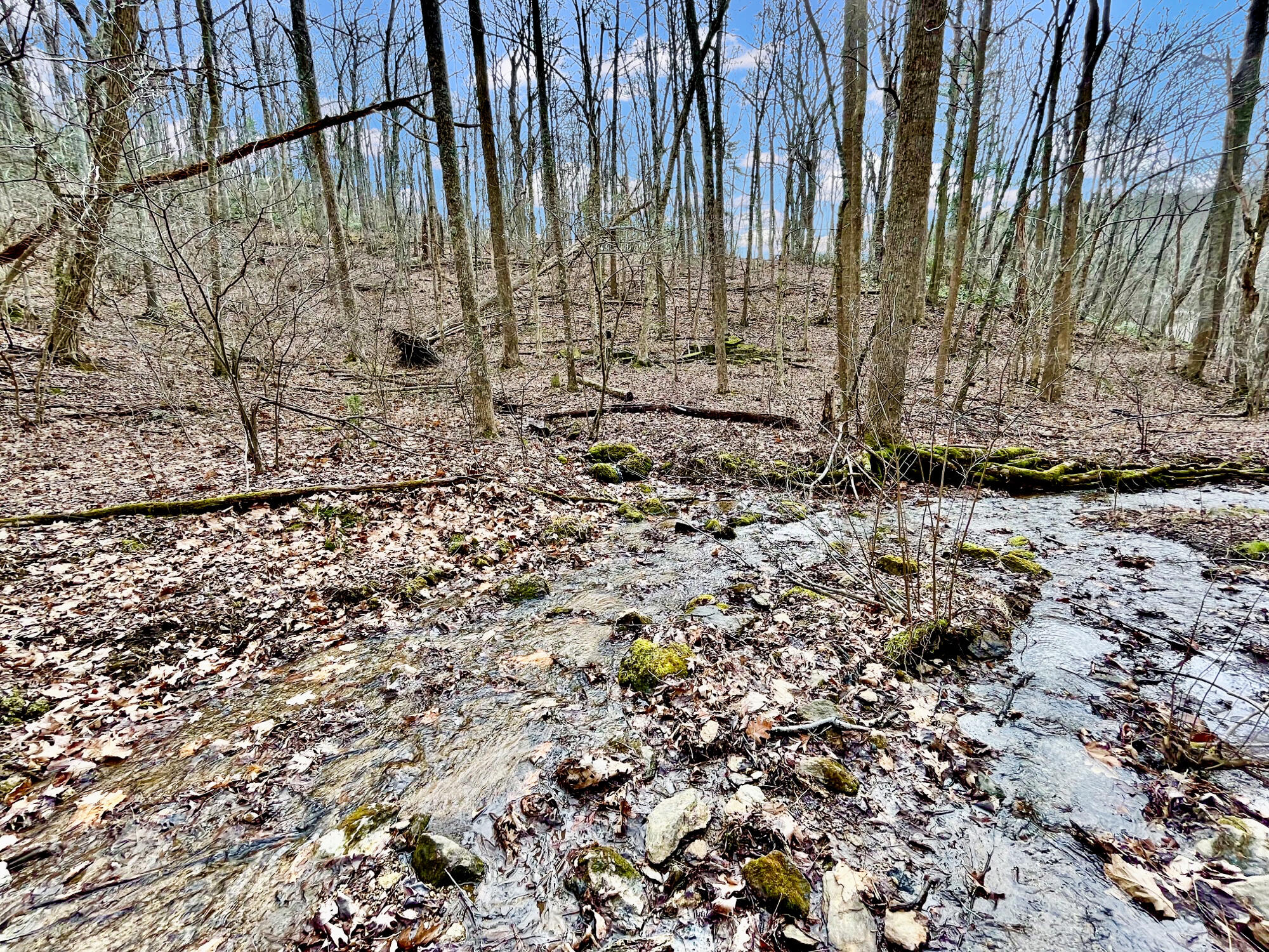 0 Glendale Road Bent Mountain, VA 24059 - Photo 6 of 15 Image1