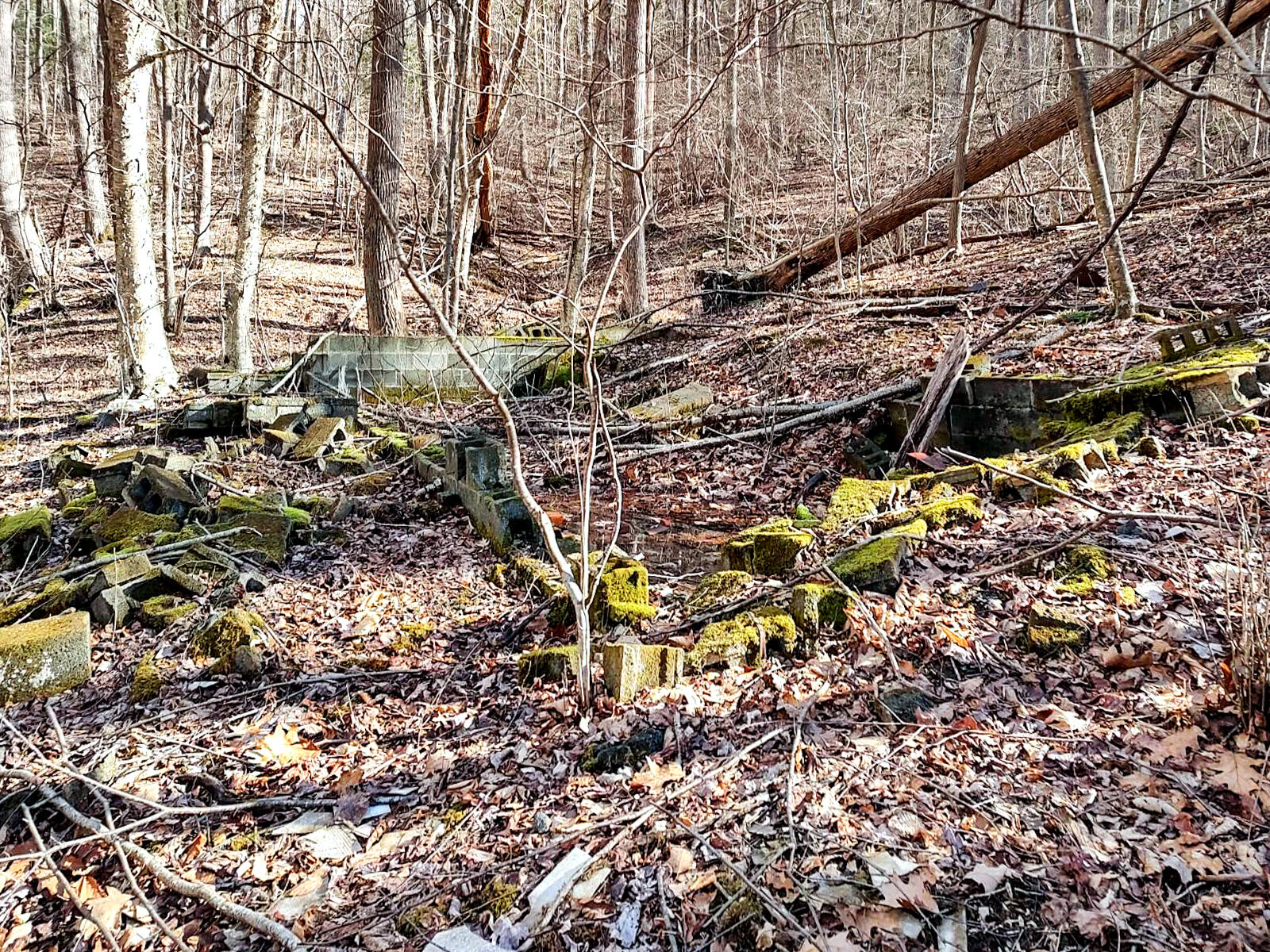 0 Glendale Road Bent Mountain, VA 24059 - Photo 7 of 15 IMG_20230118_113133318