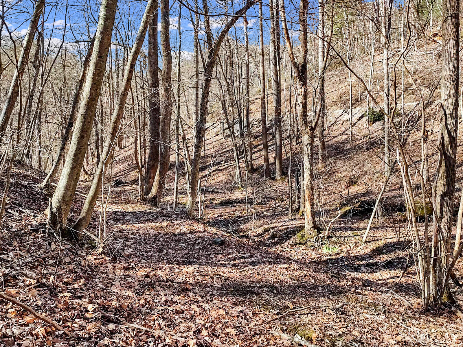 0 Glendale Road Bent Mountain, VA 24059 - Photo 8 of 15 IMG_20230118_113146689