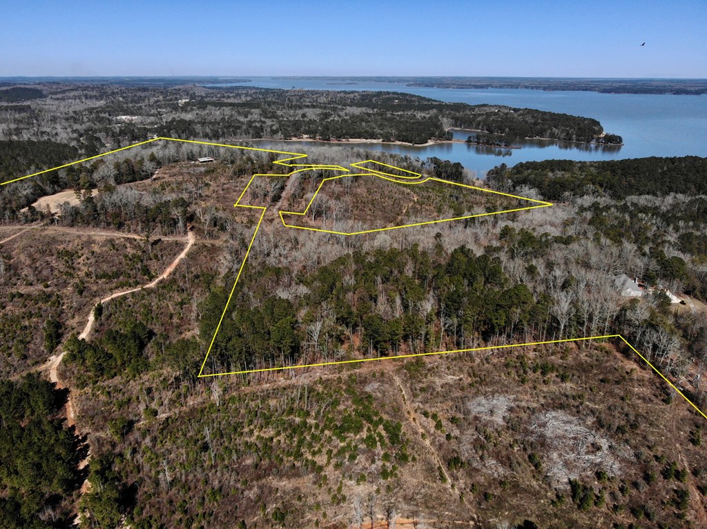 0 County Road 97 Abbeville, AL 36310 - Photo 15 of 53