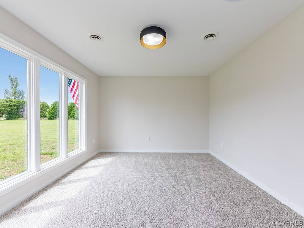 1246 Regent Road Topping, VA 23169 - Photo 18 of 37 Gallery Image 18