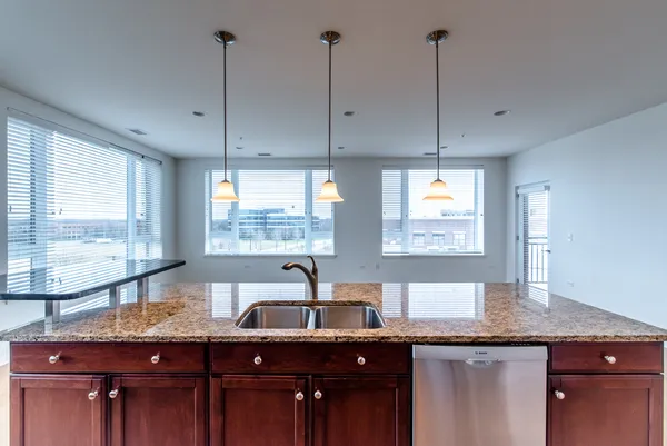 $3,350 | 850 Village Center Drive, Unit 306, Burr Ridge, IL 60527