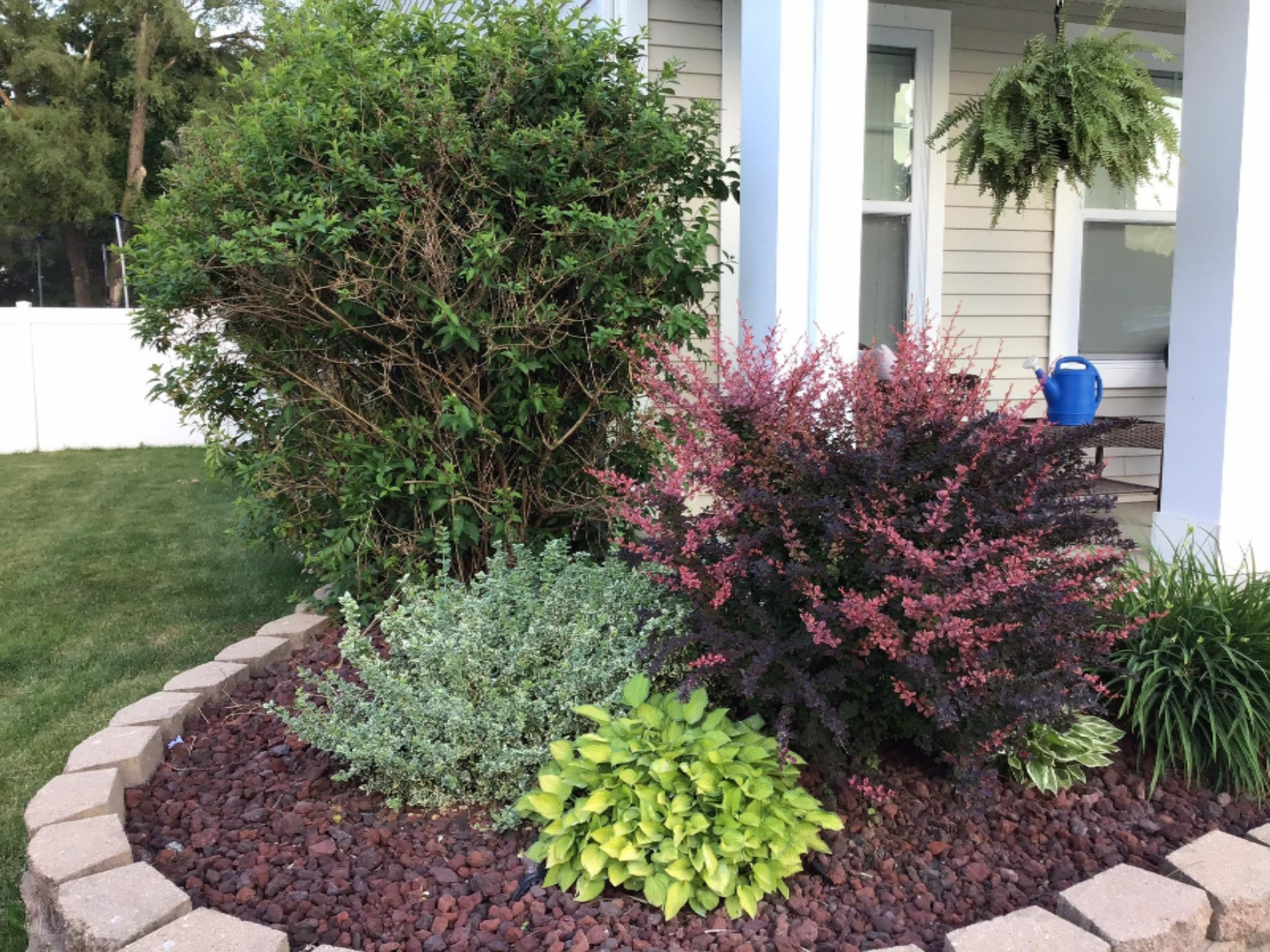 631 Oklahoma Drive Three Rivers, MI 49093 - Photo 3 of 61 IMG_0014