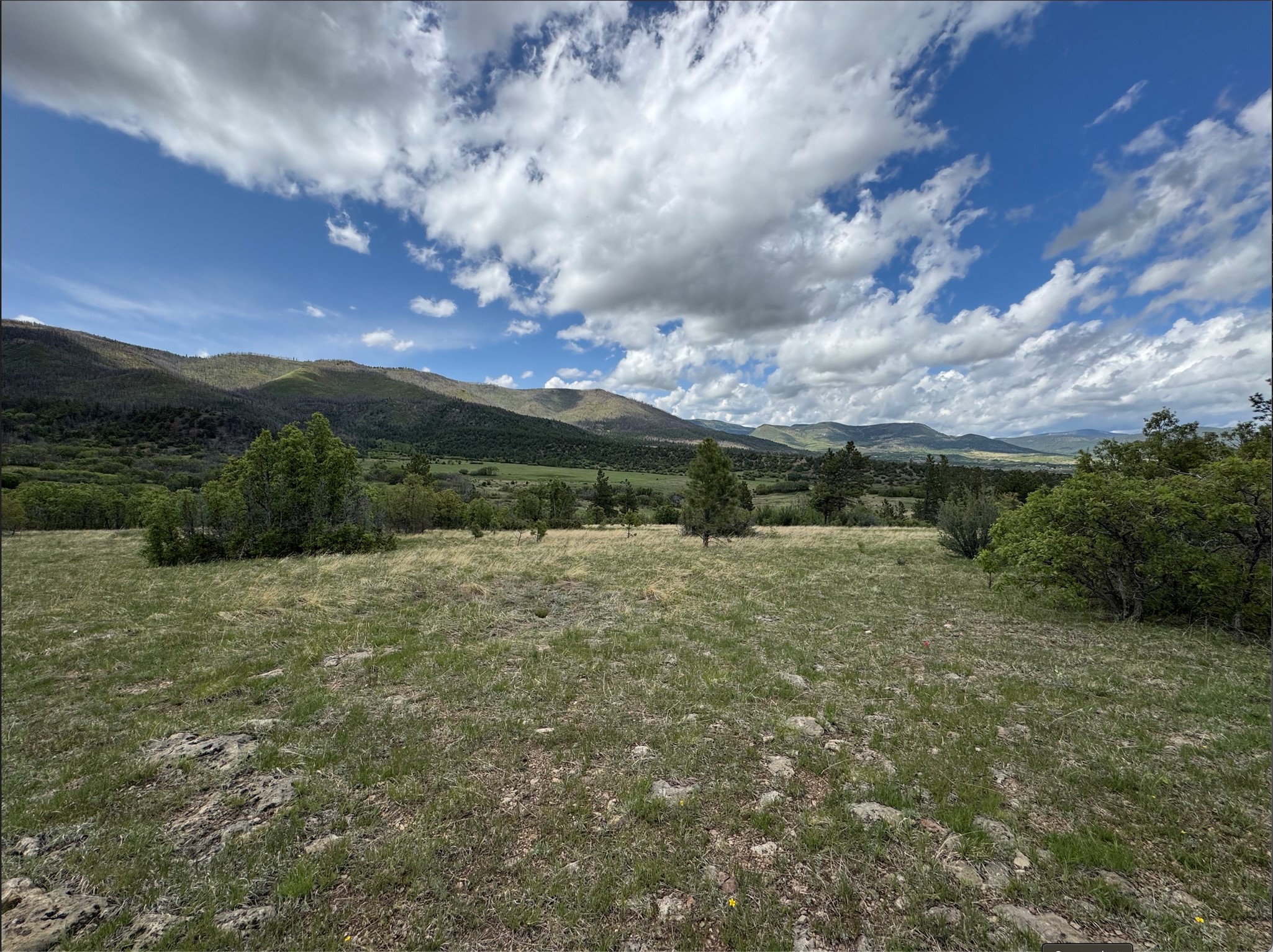 21.745-ac Los Alamitos Road Chacon, NM 87713 - Photo 3 of 10