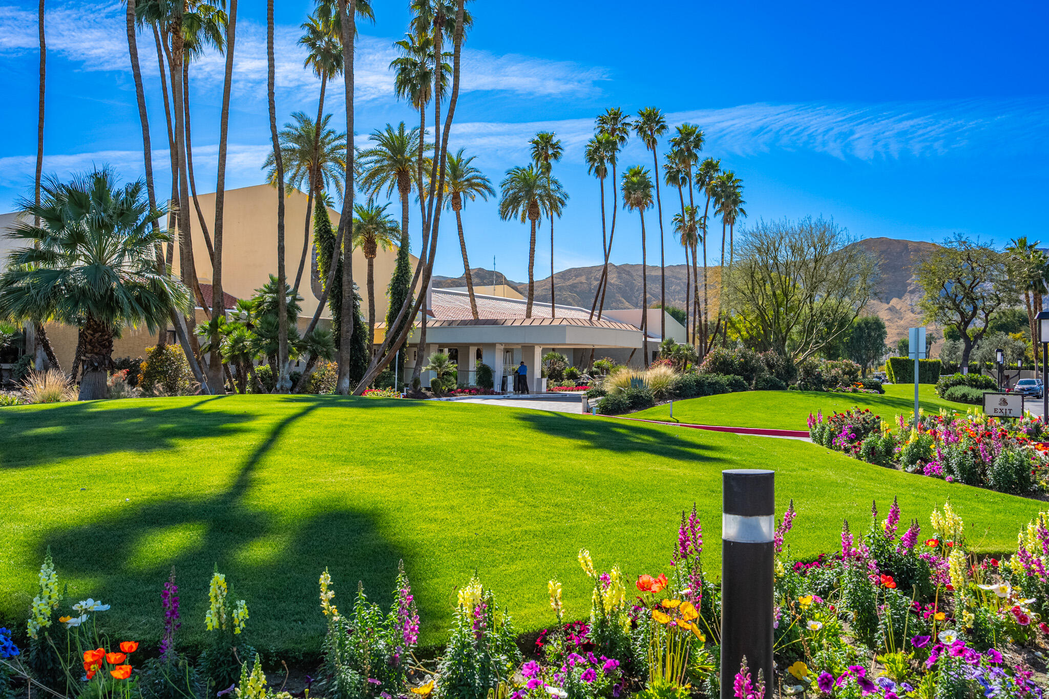 52 Princeton Drive Rancho Mirage, CA 92270 - Photo 50 of 52 a view of a swimming pool with a garden and palm trees