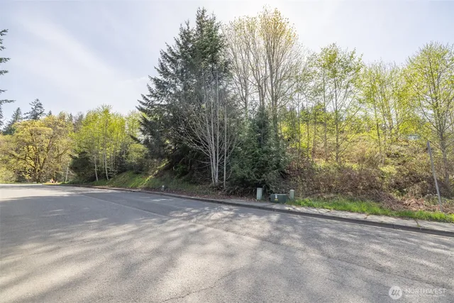 a view of a yard with trees in the background