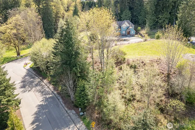a view of yard with large trees