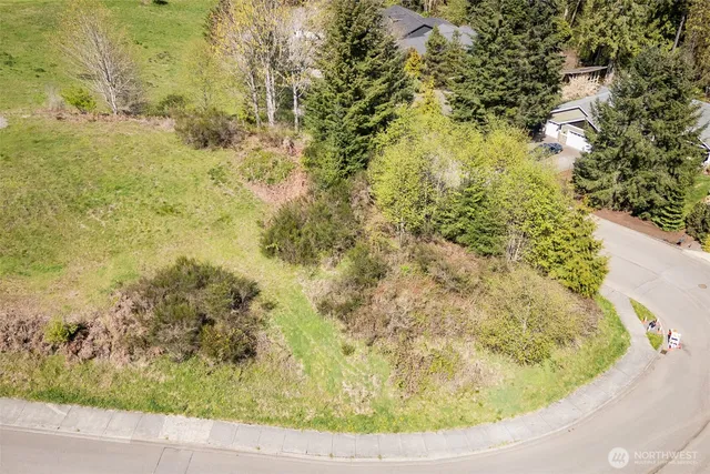 a view of a small yard