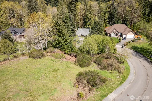 a view of a garden with plants