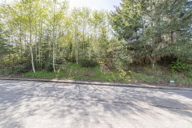 a view of a yard with a trees