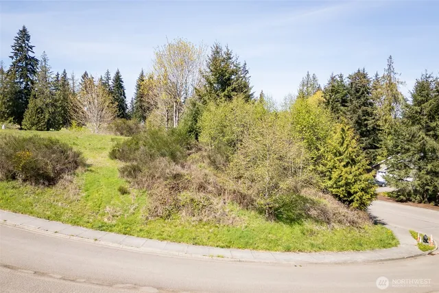 a backyard of a house with lots of green space