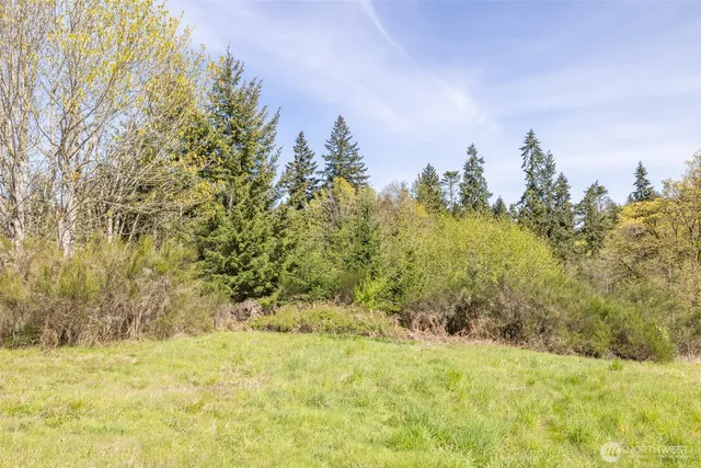 a view of a yard with a tree