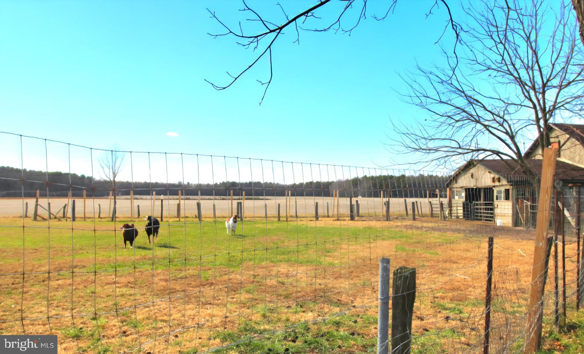 27329 Iron Gate Road Federalsburg, MD 21632 - Photo 17 of 57