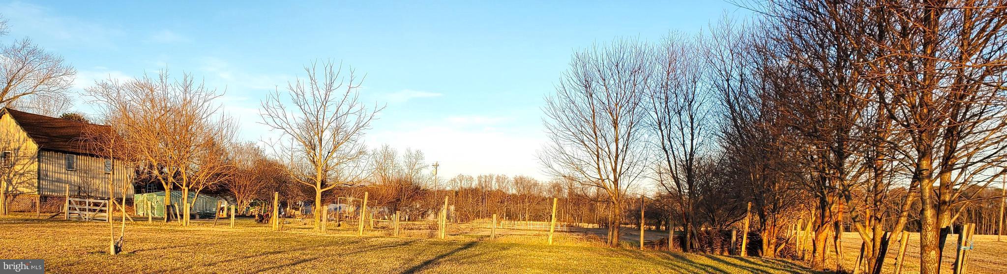 27329 Iron Gate Road Federalsburg, MD 21632 - Photo 18 of 57