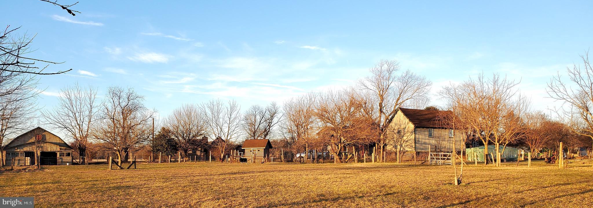 27329 Iron Gate Road Federalsburg, MD 21632 - Photo 20 of 57 a view of road with trees