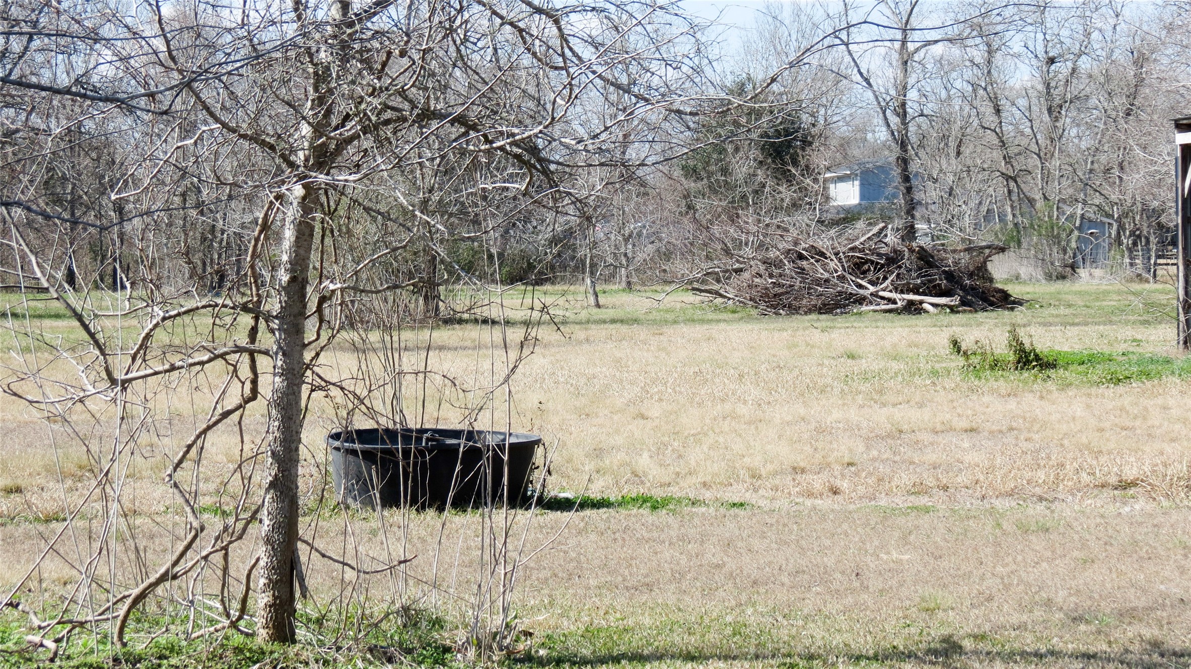 4936 Birch Road Santa Fe, TX 77517 - Photo 3 of 9 a view of a lake with a yard