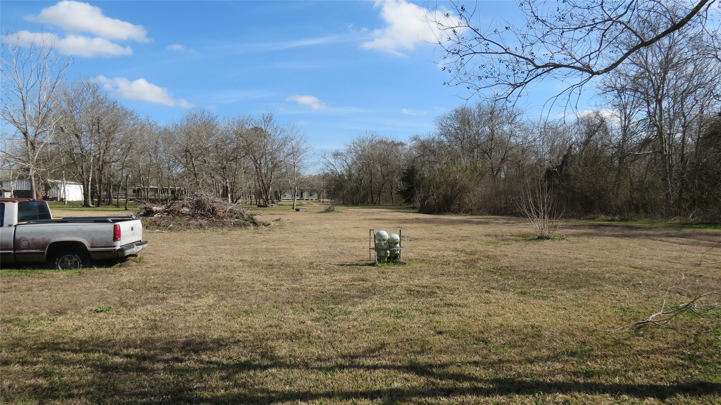 4936 Birch Road Santa Fe, TX 77517 - Photo 6 of 9 a view of a park with large trees