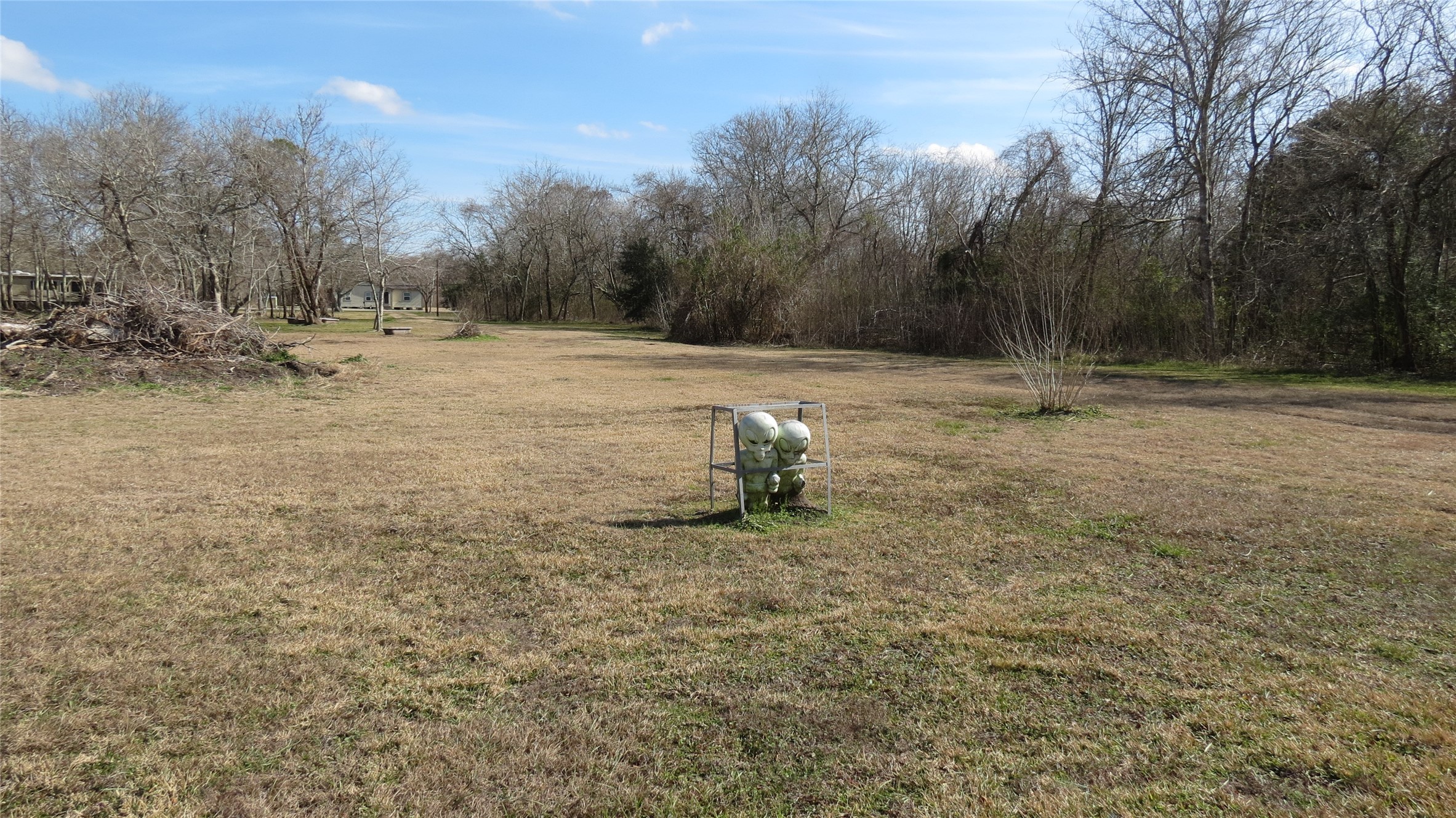 4936 Birch Road Santa Fe, TX 77517 - Photo 8 of 9 a view of backyard with green space