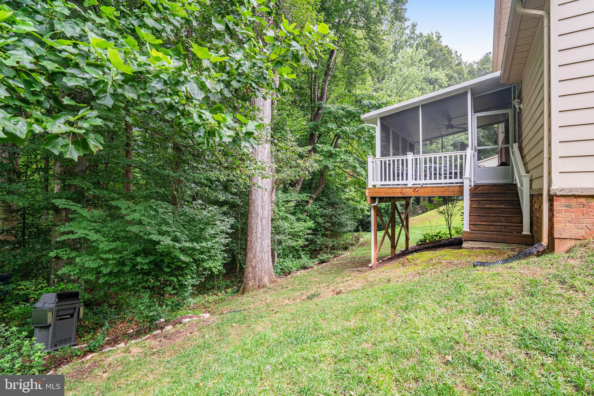 7149 Game Lord Drive Springfield, VA 22153 - Photo 8 of 10 Backs to Trees & Nature