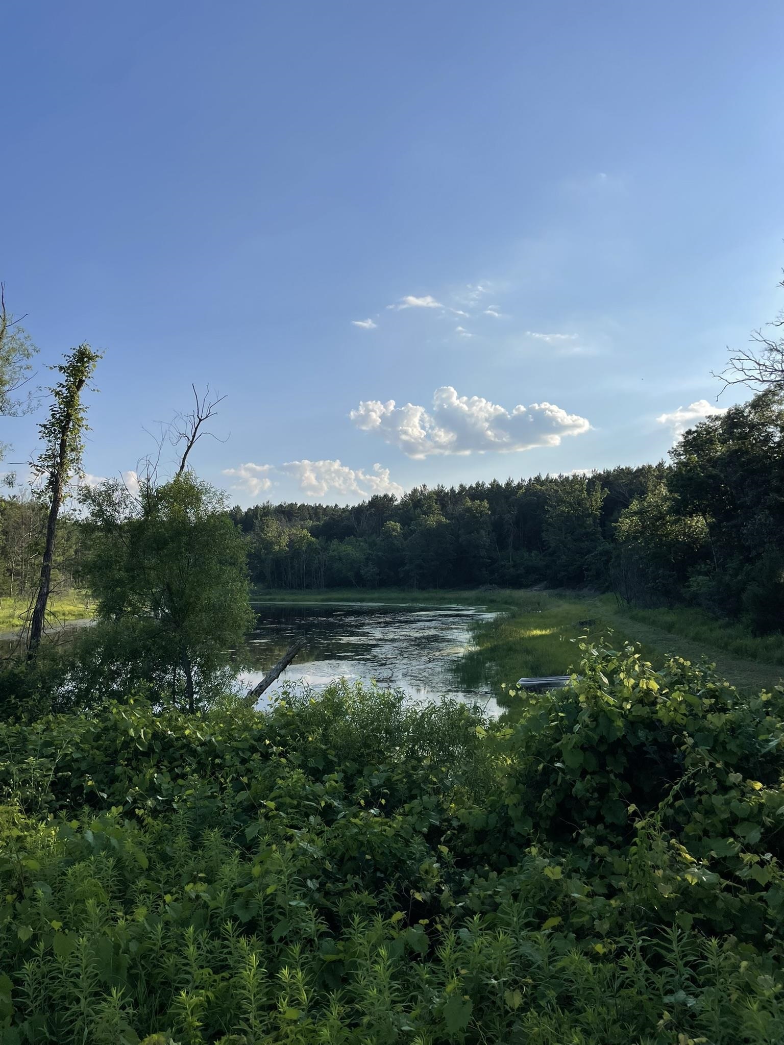N1143 County Rd CH Coloma, WI 54930 - Photo 21 of 69