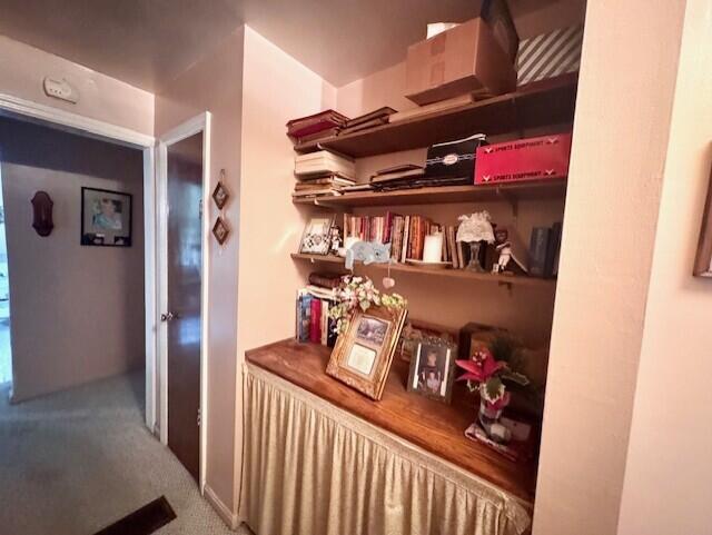 7050 Hopeful Road Florence, KY 41042 - Photo 9 of 25 H-Hall Built-in shelving