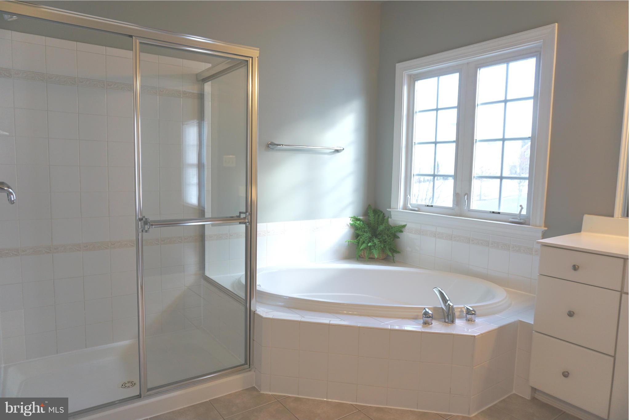 18420 Crestmount Road Boyds, MD 20841 - Photo 16 of 30 Bath (Master)