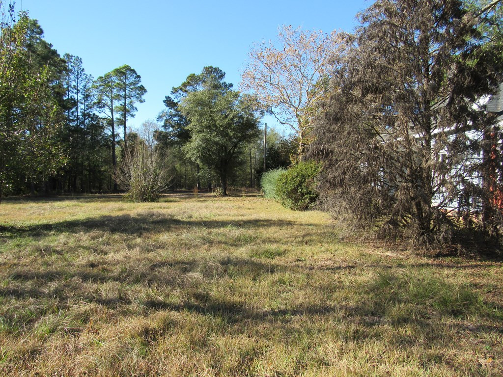 2049 Silver Bluff Road Aiken, SC 29803 - Photo 27 of 33