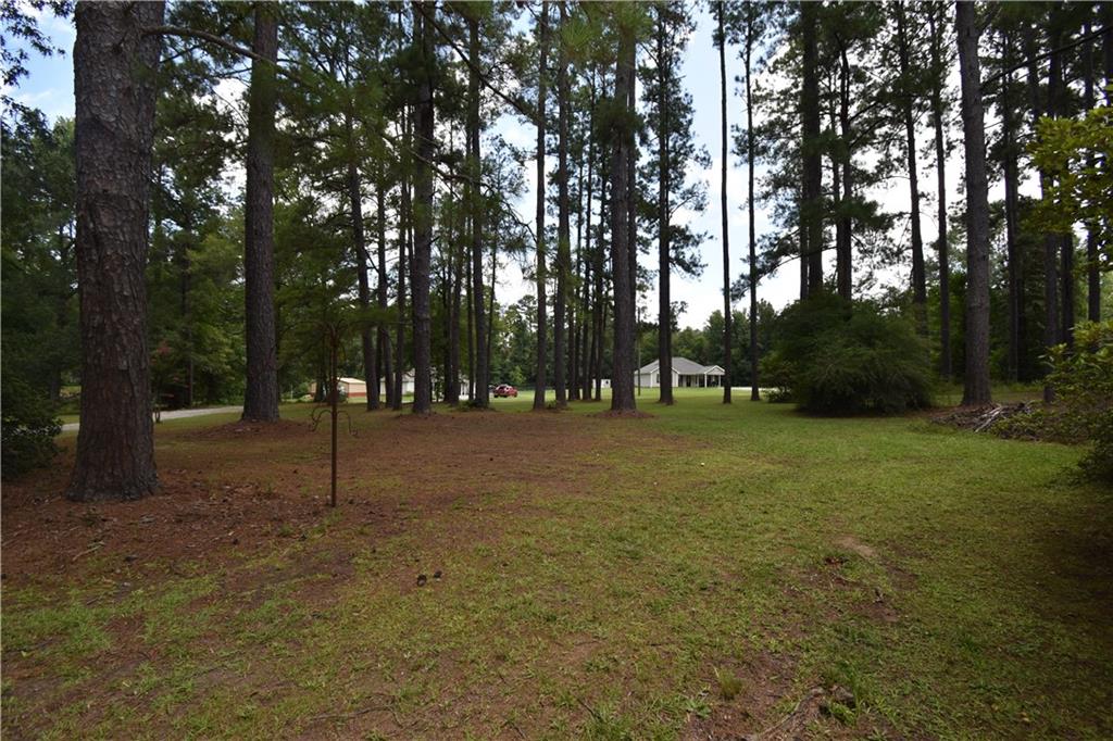 116 Ed Lasyone Road Pineville, LA 71360 - Photo 53 of 55 Gallery Image 53