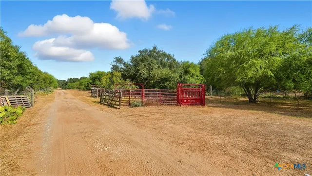 a backyard of a house with a yard and large tree