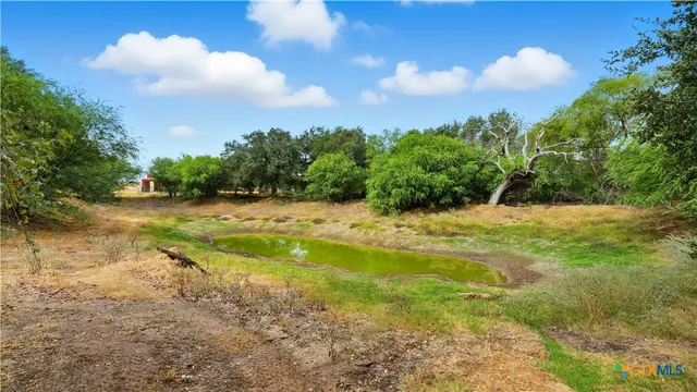 a view of outdoor space and yard