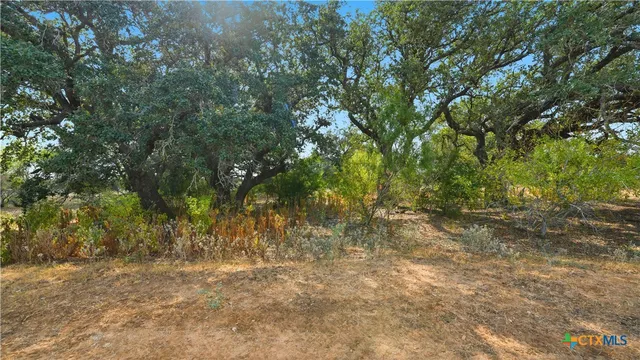 a view of beach and blue space