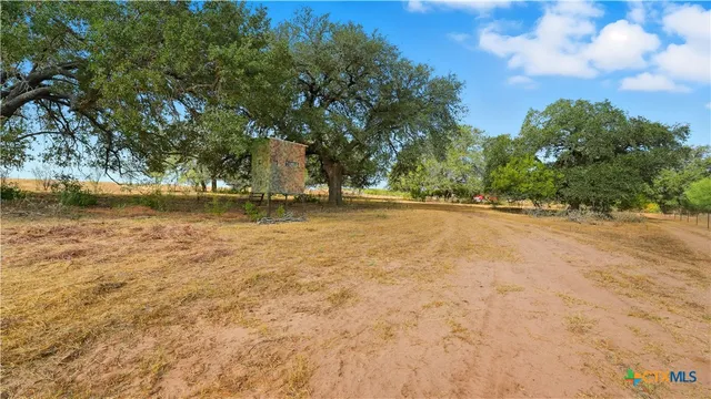 a view of a yard with wooden fence