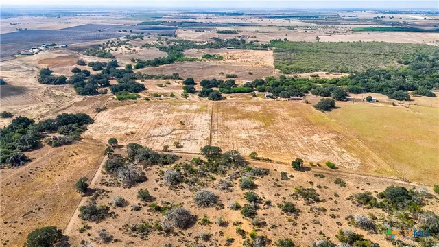 a view of a backyard with plants