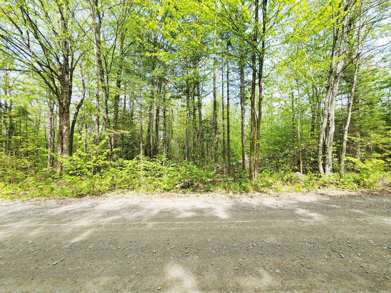 Lot 5 Maple Road Milo, ME 04463 - Photo 17 of 20 20260523_135559 adj