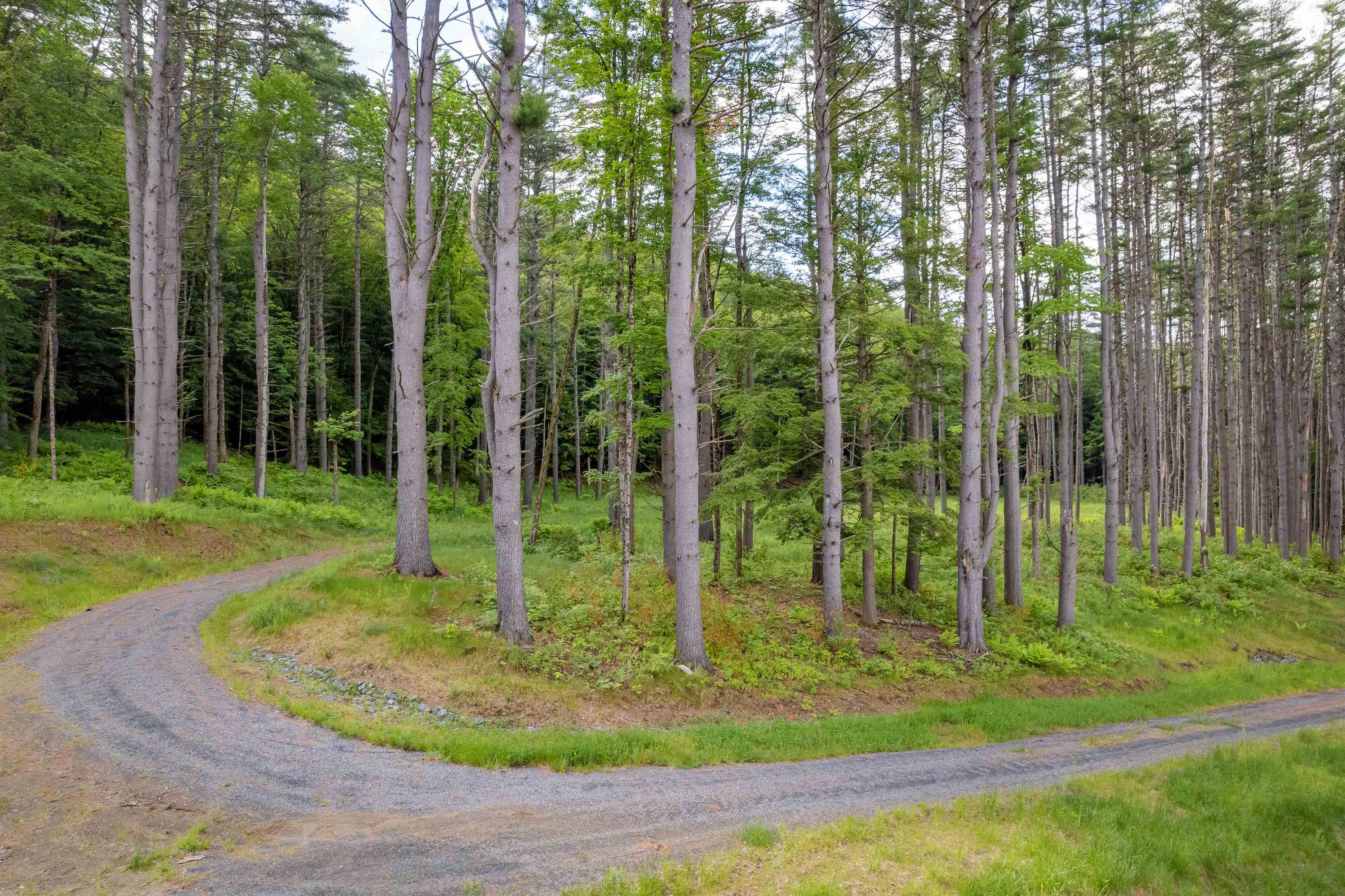 1 Carlton Hill Road Woodstock, VT 05091 - Photo 6 of 7