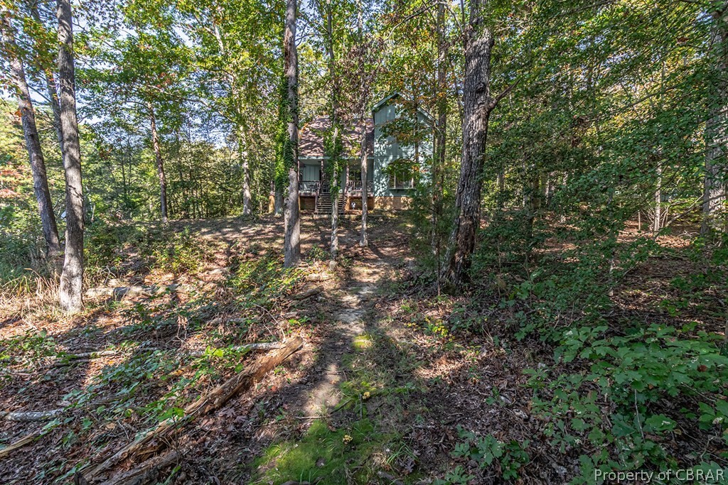 131 Ewell Road Lancaster, VA 22503 - Photo 12 of 50 a view of a forest with trees in the background