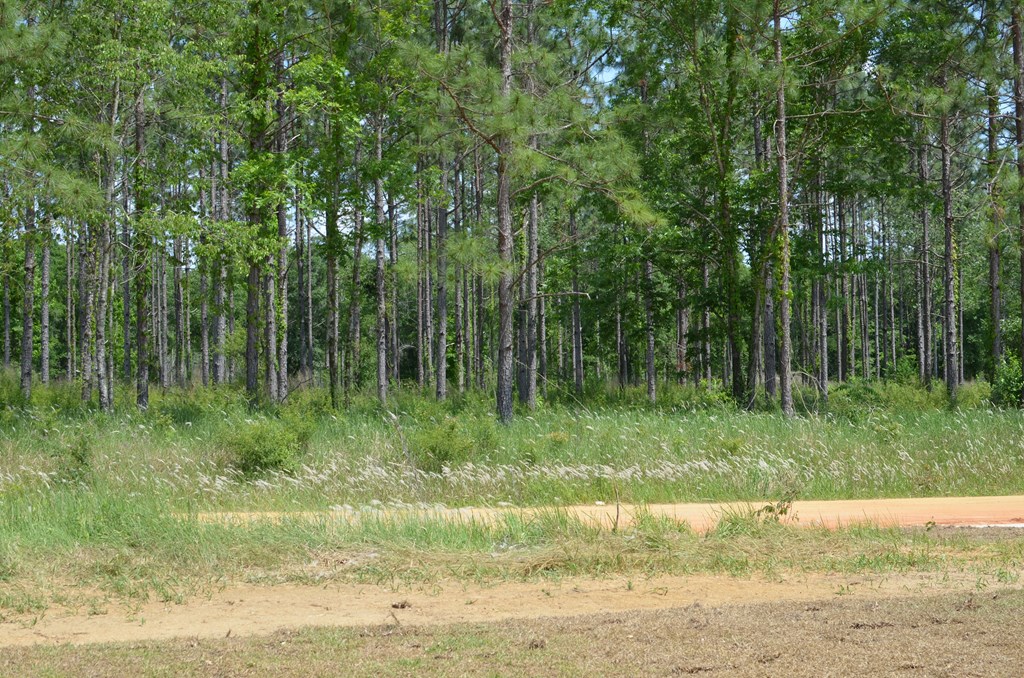 758 South Watford Road Slocomb, AL 36375 - Photo 46 of 48