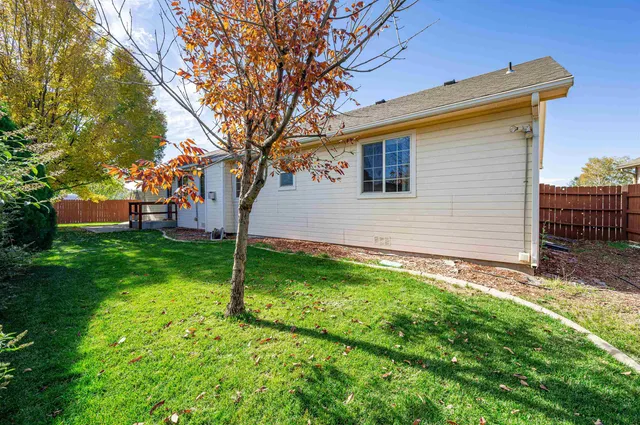 a view of a backyard with a large tree