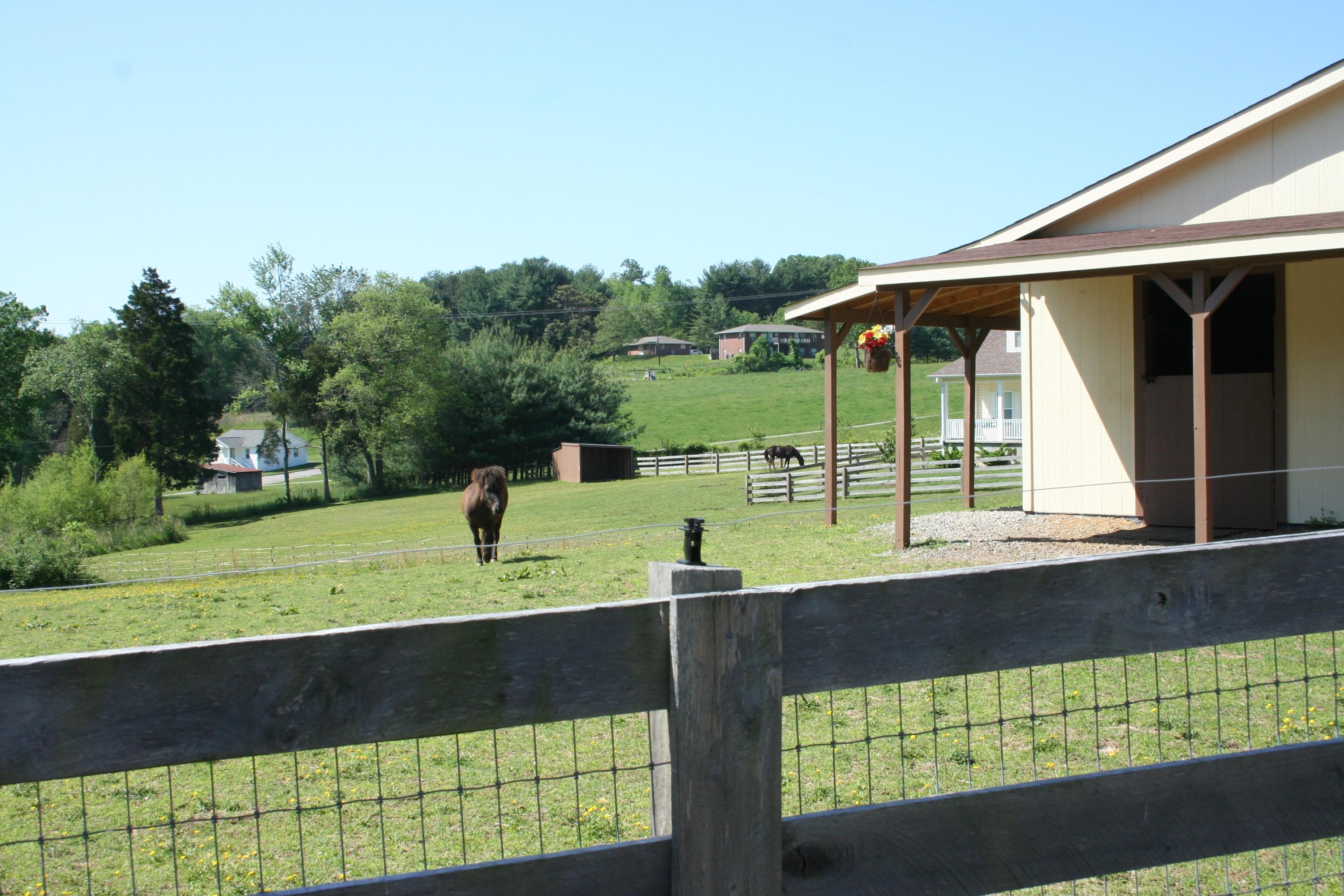 3945 Copper Ridge Road Knoxville, TN 37931 - Photo 2 of 39 Copper Ridge Road 003
