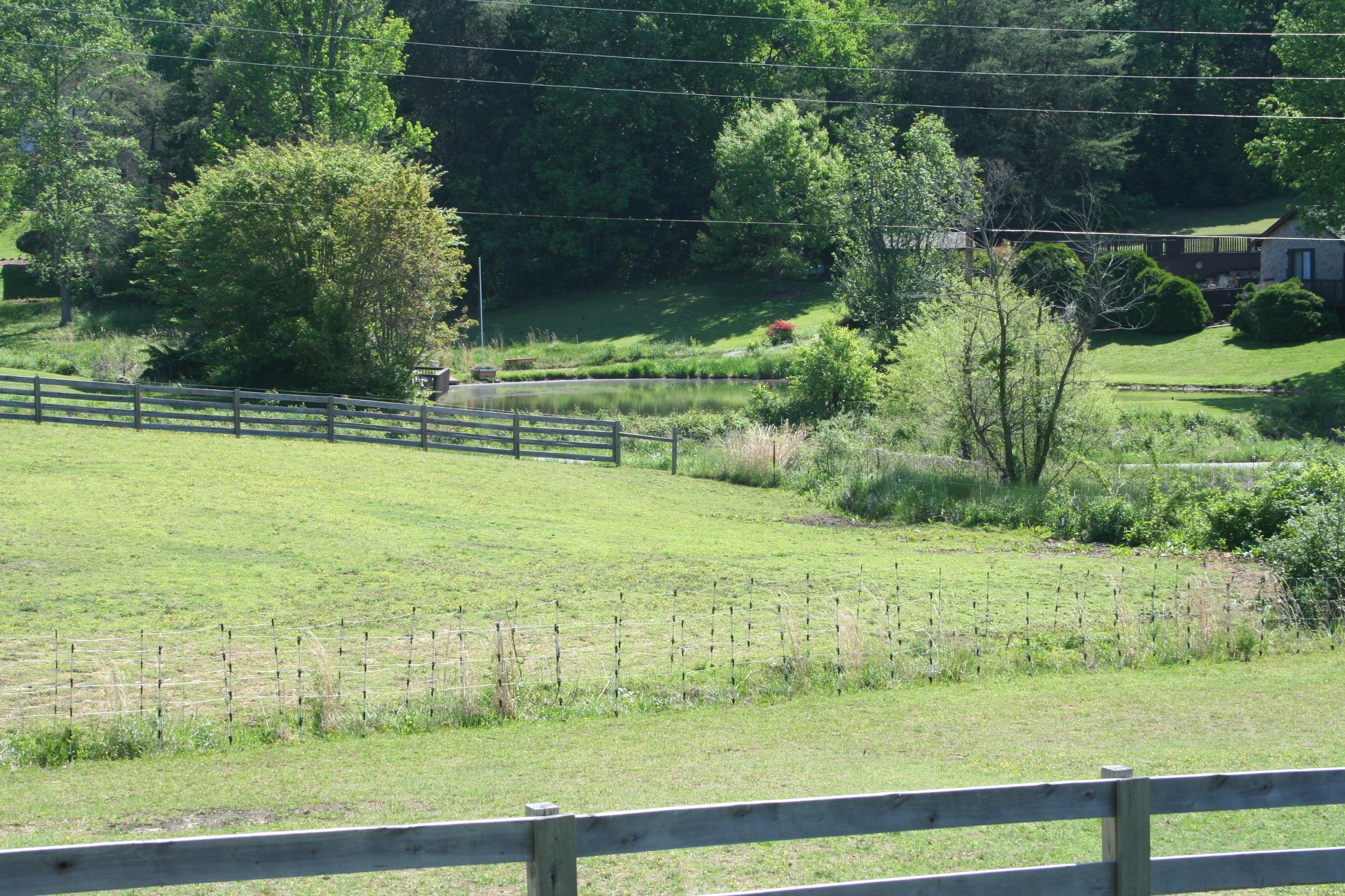 3945 Copper Ridge Road Knoxville, TN 37931 - Photo 10 of 39 Copper Ridge Road 016