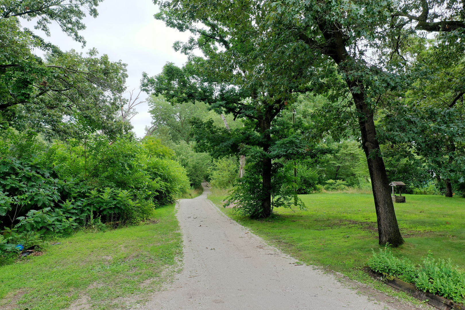 418 South 5000W Road Kankakee, IL 60901 - Photo 25 of 38 a view of a yard with a tree