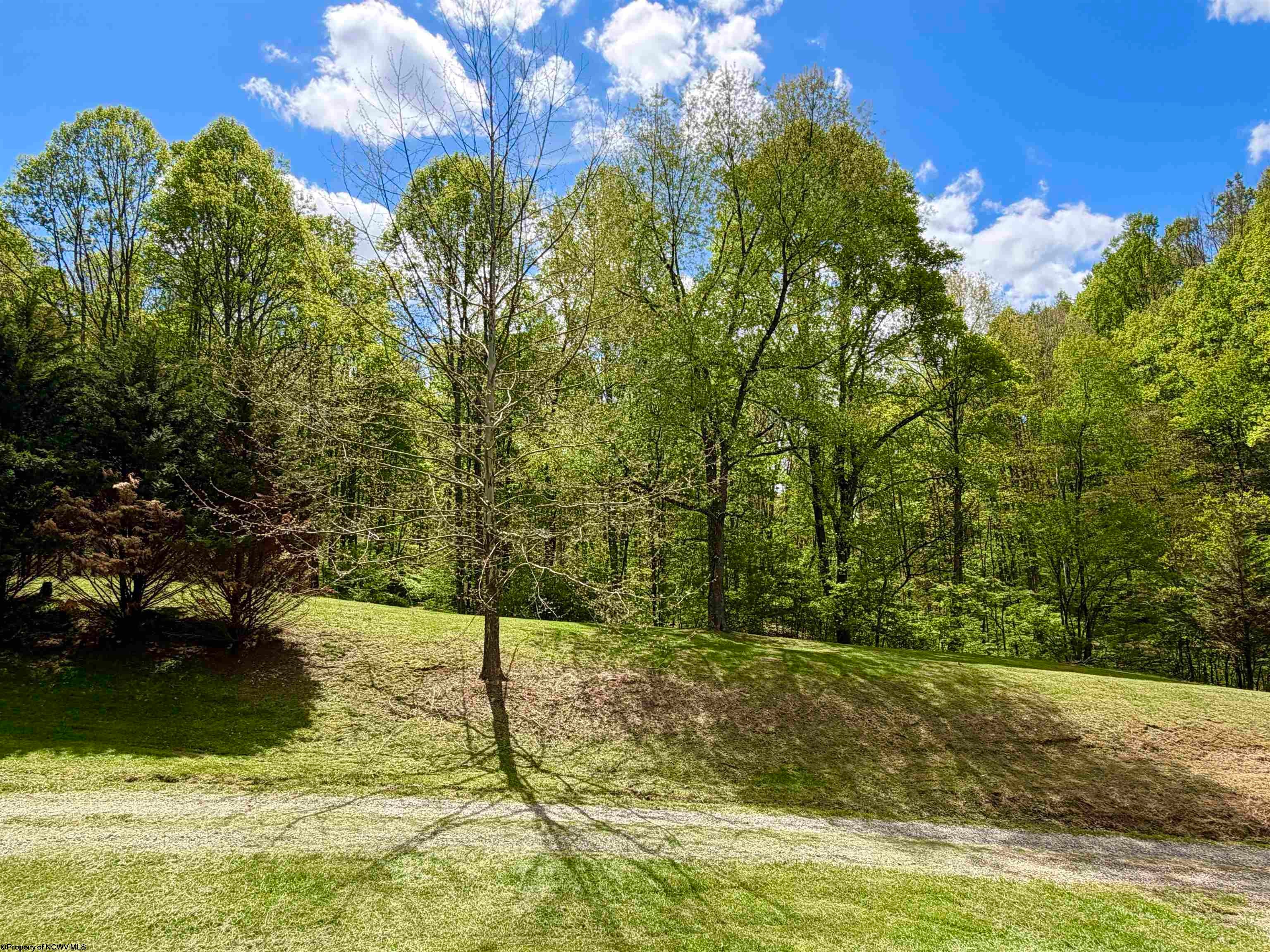 804 Jewelweed Road Salem, WV 26426 - Photo 16 of 34 Gallery Image 16