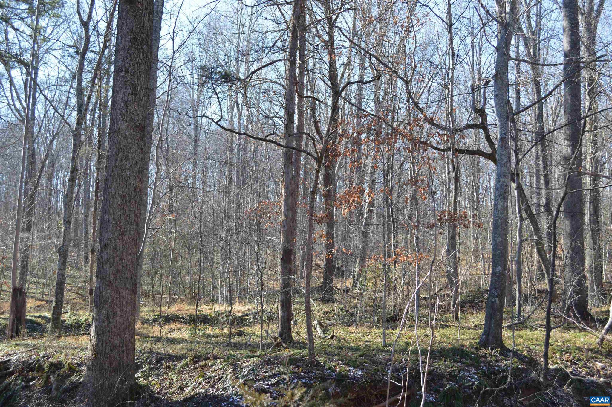 Frays Ridge, Unit 37 Earlysville, VA 22936 - Photo 10 of 18