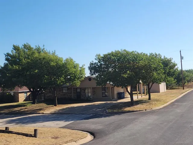 a street view with large trees