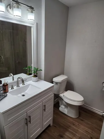 a bathroom with a sink and a toilet