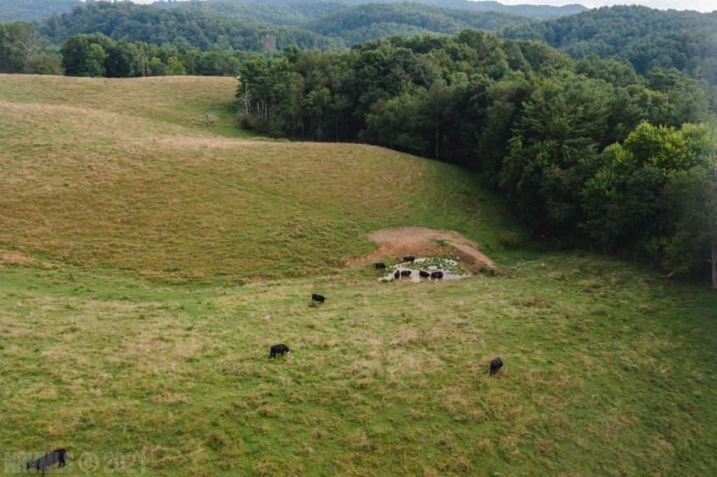 0 Grace Lane Northeast Riner, VA 24149 - Photo 16 of 23 Gallery Image 16