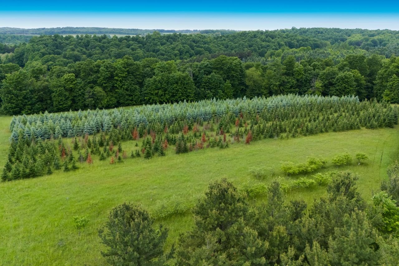 1551 North Macksey Road Suttons Bay, MI 49682 - Photo 29 of 34