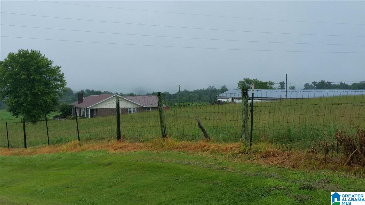 3951 County Road 940 Cullman, AL 35057 - Photo 17 of 17