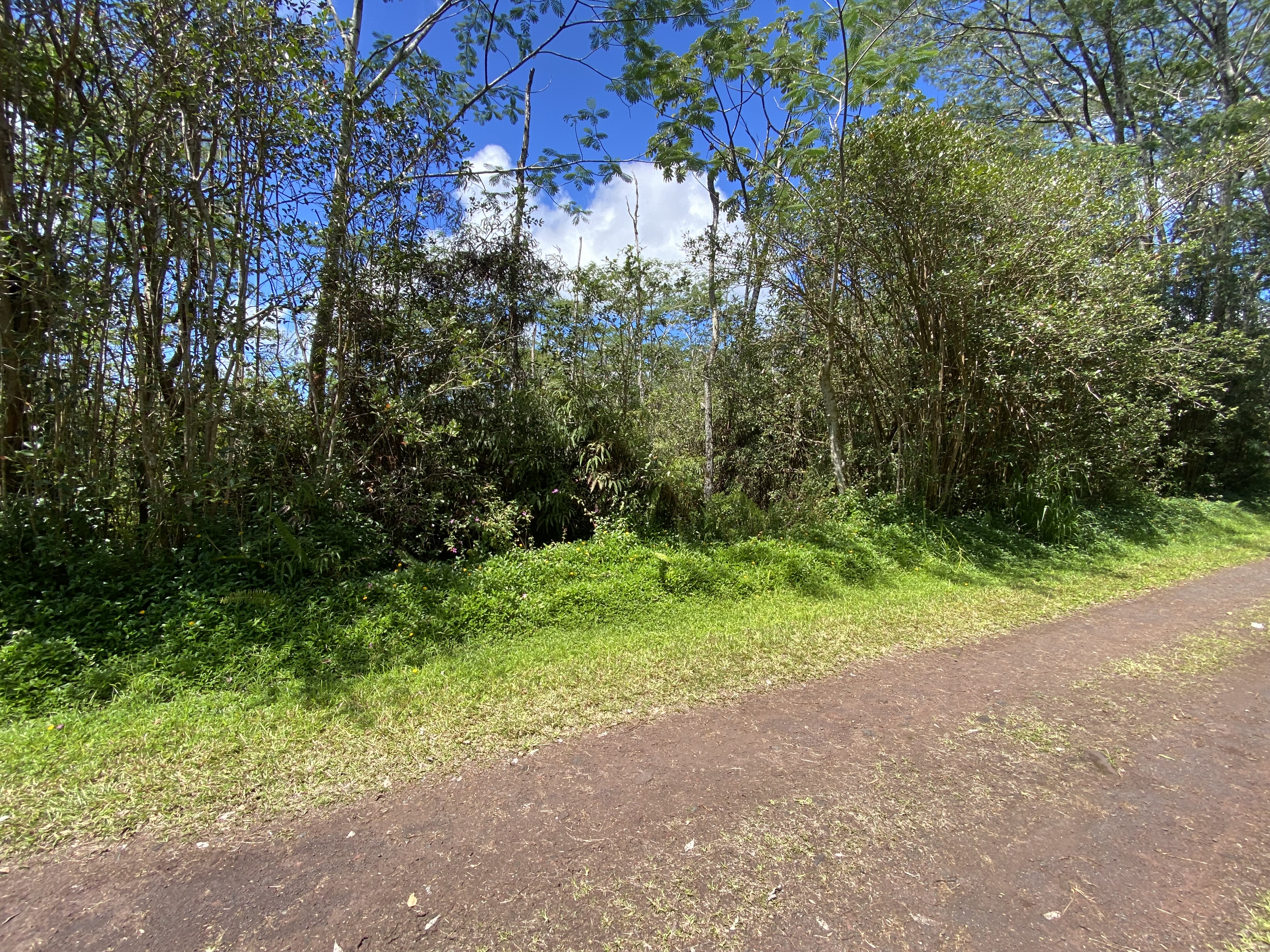 471 Seadrift Road Pahoa, HI 96778 - Photo 1 of 7 Gallery Image 1